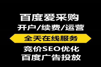 成功案例解析：SEO与SEM协同营销策略